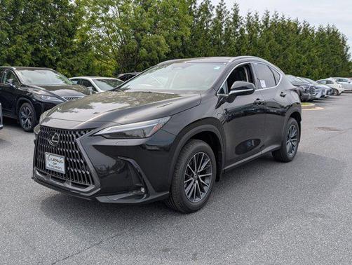 2025 Lexus NX 350h Luxury