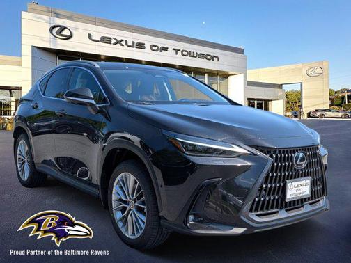 2025 Lexus NX 350 Luxury