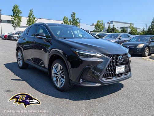 2025 Lexus NX 350 Luxury