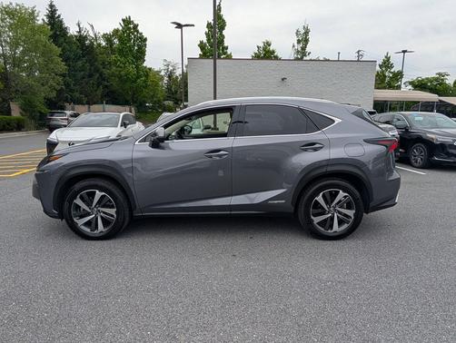 Nebula Gray Pearl 2019 Lexus NX 300h Base