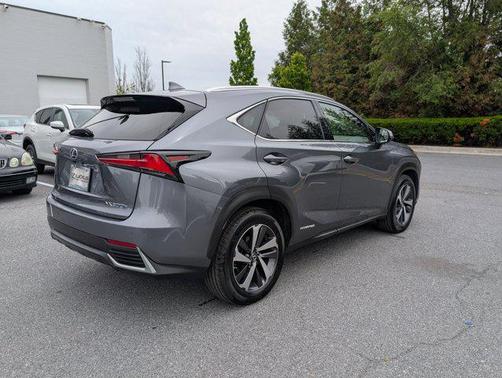Nebula Gray Pearl 2019 Lexus NX 300h Base