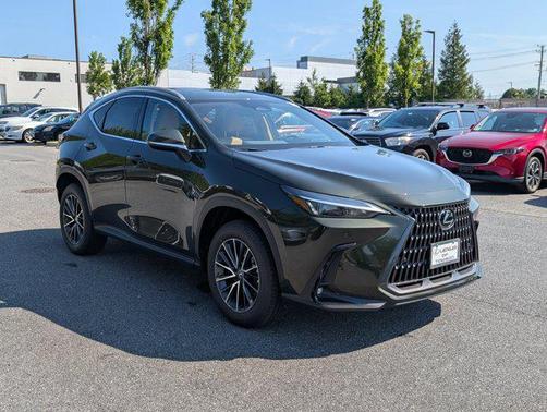 2025 Lexus NX 350h Premium