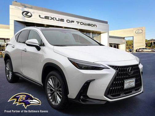 2025 Lexus NX 350 Luxury