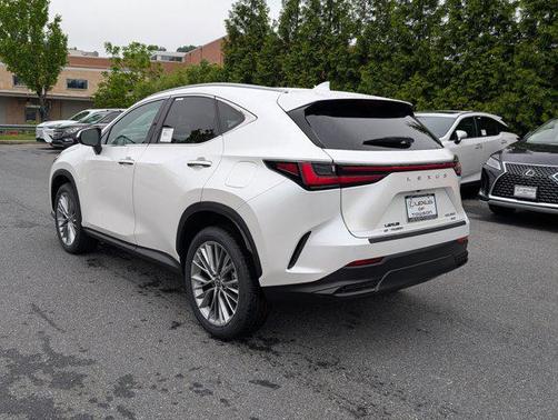 2025 Lexus NX 350 Luxury