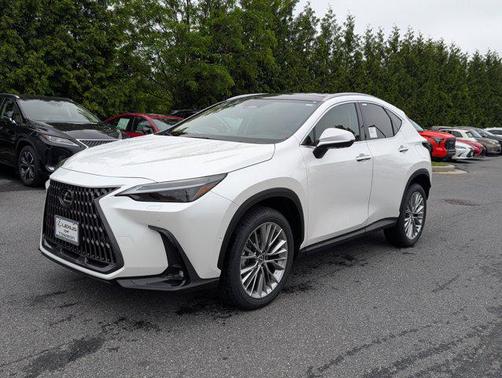 2025 Lexus NX 350 Luxury