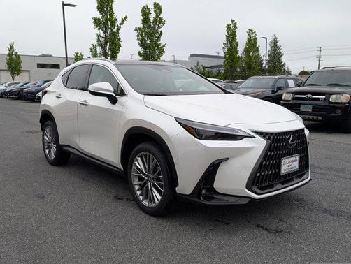 2025 Lexus NX 350 Luxury