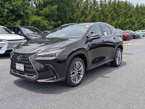 2025 Lexus NX 350h Premium