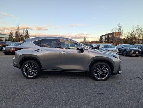 2022 Lexus NX 350h Premium