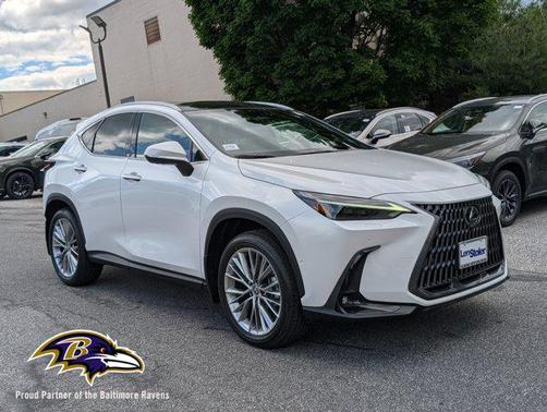 2025 Lexus NX 350 Luxury