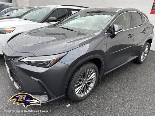 2022 Lexus NX 350h Premium