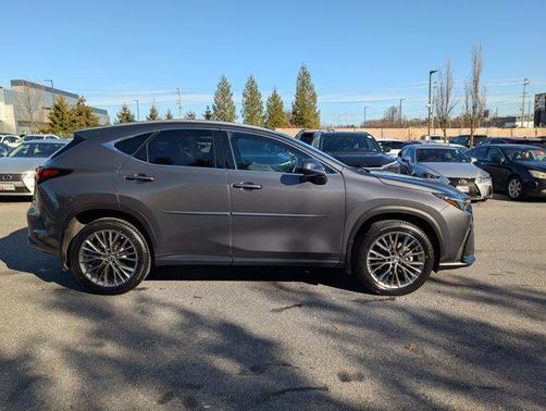 2022 Lexus NX 350h Premium