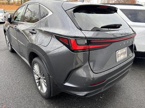 2022 Lexus NX 350h Premium
