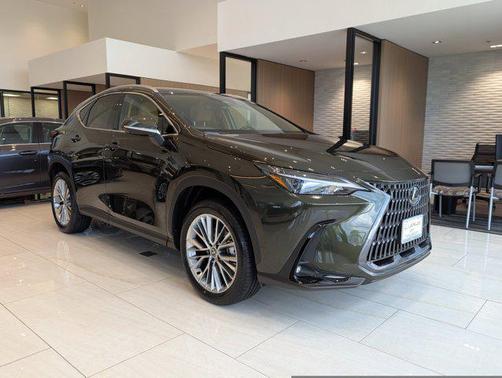 2025 Lexus NX 350 Premium