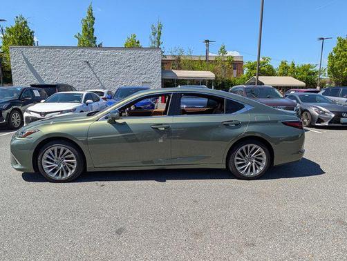 Sunlit Green 2019 Lexus ES 350 Luxury