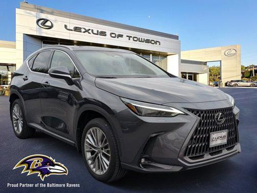 2025 Lexus NX 350 Luxury