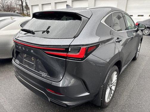 2025 Lexus NX 350 Luxury