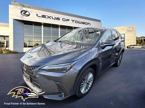 2024 Lexus NX 350 Luxury
