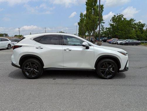 2024 Lexus NX 450h+ Luxury