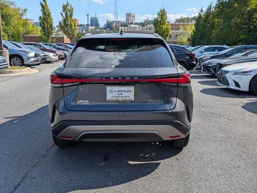 2025 Lexus RX 350 Premium Plus