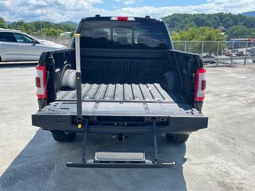 Agate Black Metallic 2022 Ford F-150 Platinum