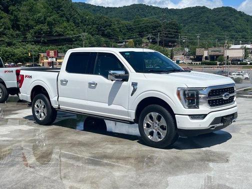 Star White 2023 Ford F-150 Platinum
