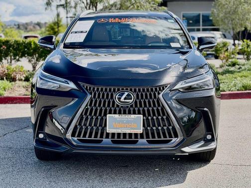 2024 Lexus NX 350 Luxury