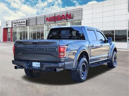 Magnetic 2018 Ford F-150 Raptor