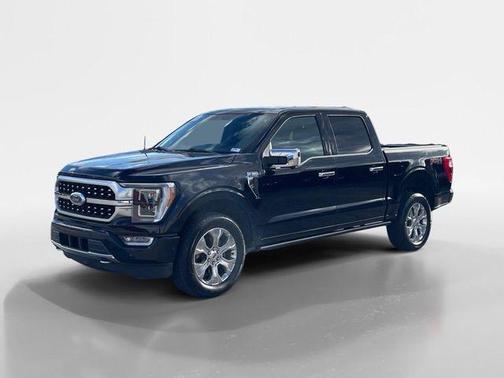 Black Metallic 2023 Ford F-150 Platinum