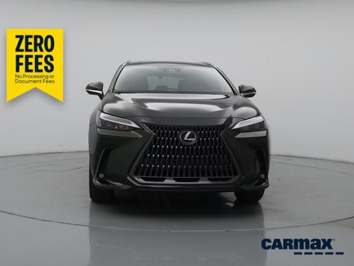 Green 2024 Lexus NX 350 Premium