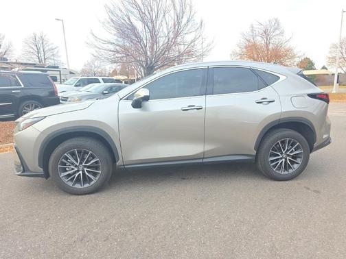 2024 Lexus NX 350 Premium
