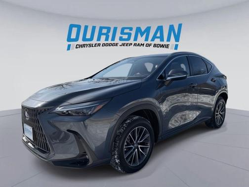 2024 Lexus NX 350h Premium