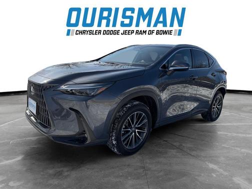 2024 Lexus NX 350h Premium