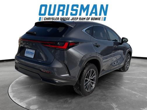 2024 Lexus NX 350h Premium