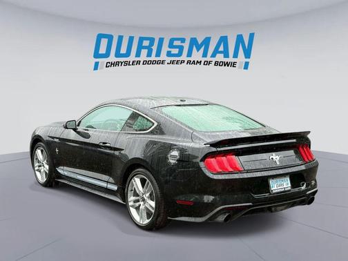 Shadow Black 2019 Ford Mustang EcoBoost Premium