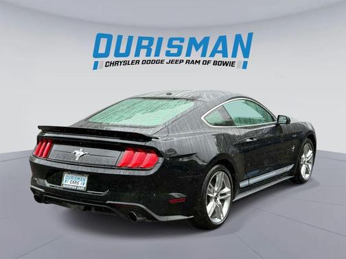 Shadow Black 2019 Ford Mustang EcoBoost Premium