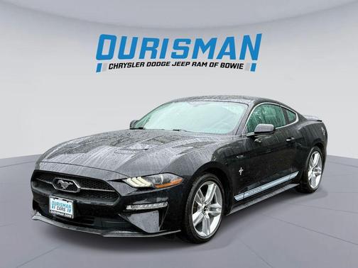 Shadow Black 2019 Ford Mustang EcoBoost Premium