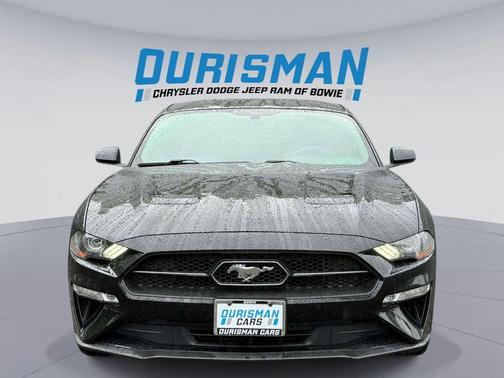 Shadow Black 2019 Ford Mustang EcoBoost Premium