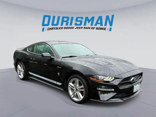 Shadow Black 2019 Ford Mustang EcoBoost Premium
