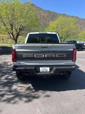 AVALANCHE 2024 Ford F-150 RAPTOR