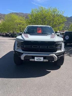 AVALANCHE 2024 Ford F-150 RAPTOR