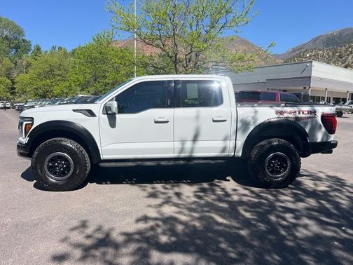 AVALANCHE 2024 Ford F-150 RAPTOR