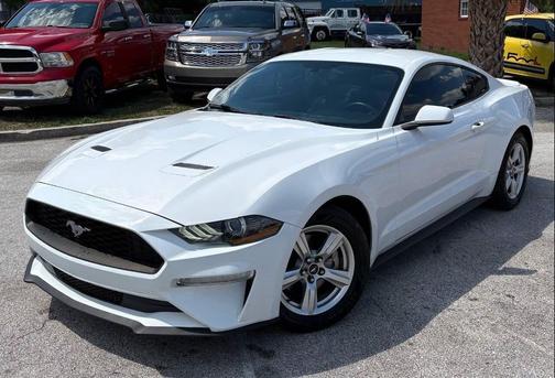 Oxford White 2019 Ford Mustang EcoBoost