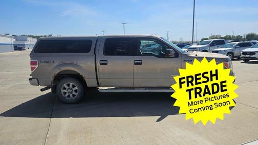Pale Adobe Metallic 2013 Ford F-150 XLT