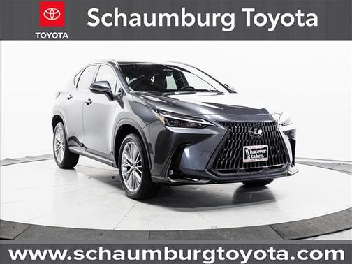 2023 Lexus NX 350 Premium