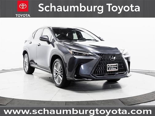 2023 Lexus NX 350 Premium