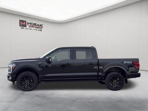 Agate Black Metallic 2025 Ford F-150 Platinum