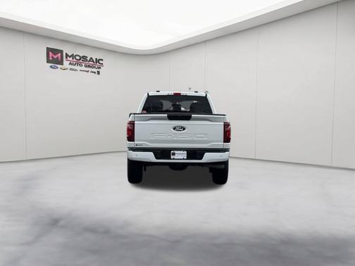 Oxford White 2025 Ford F-150 STX