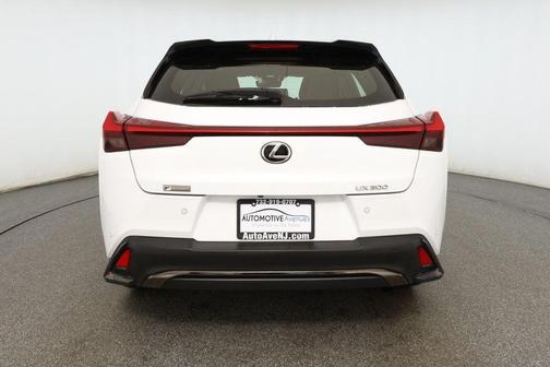 2019 Lexus UX 200 F Sport