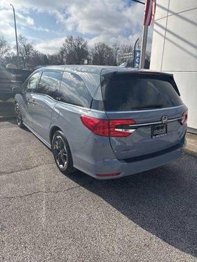 2024 Honda Odyssey Elite