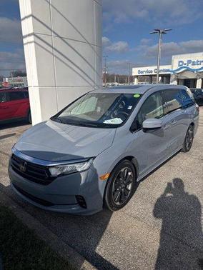 2024 Honda Odyssey Elite